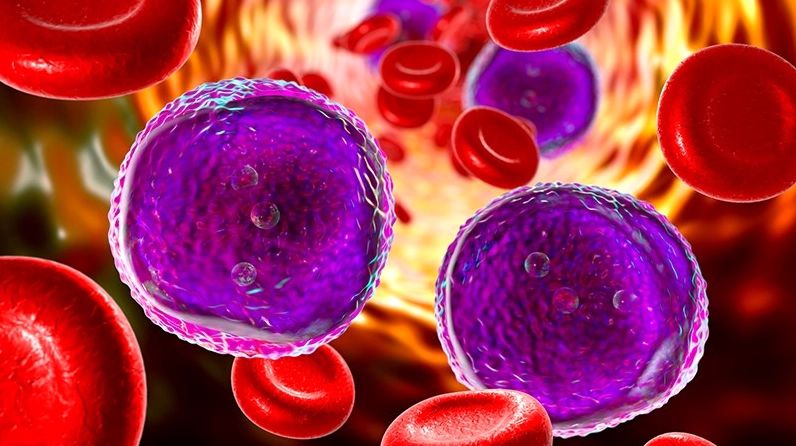 Carotenoids trong bơ có thể chống lại sự tiến triển của ung thư
