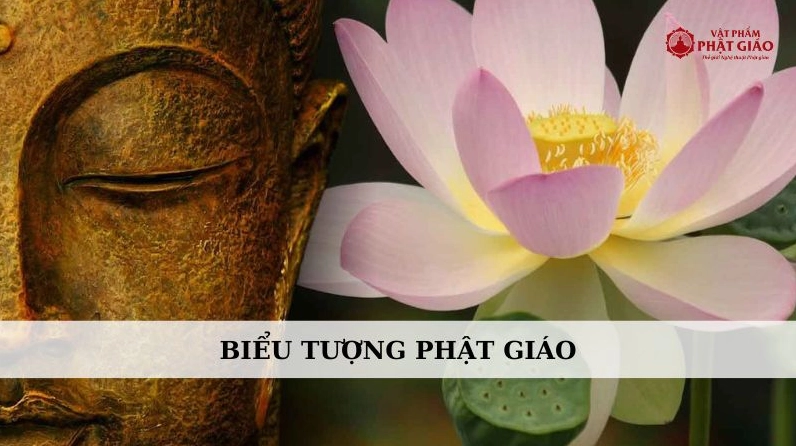 Hình nền biểu tượng Phật giáo với hoa sen trắng tinh khiết trên nền xanh dương
