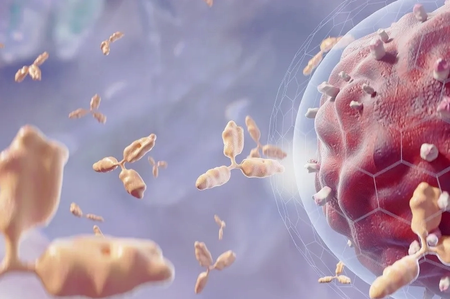 Mô hình virus HPV tấn công tế bào cổ tử cung gây ung thư
