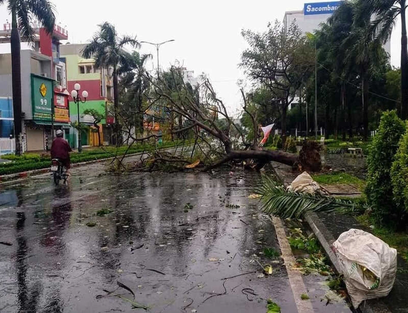 Một con đường bị ngập lụt nghiêm trọng và cây cối ngã đổ sau khi một cơn bão đi qua.