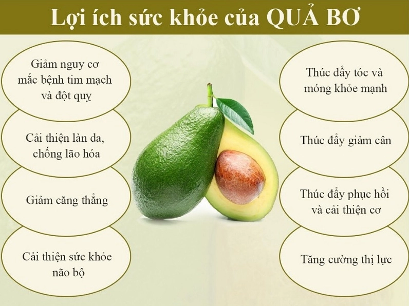 Quả bơ giàu vitamin E tốt cho da